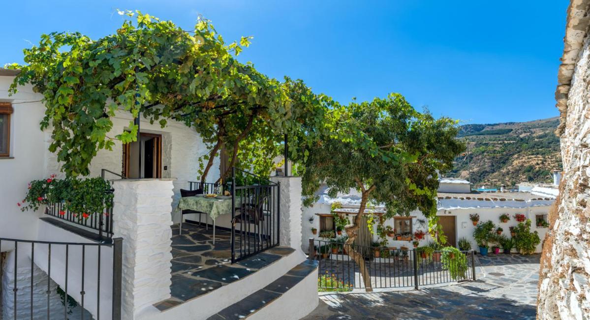 Appartamento Casa Antonia Capileira La Alpujarra Esterno foto