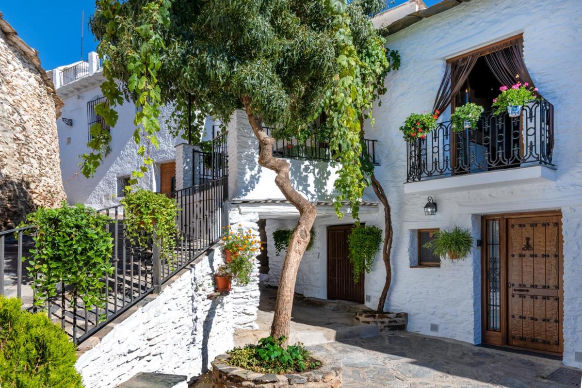 Appartamento Casa Antonia Capileira La Alpujarra Esterno foto